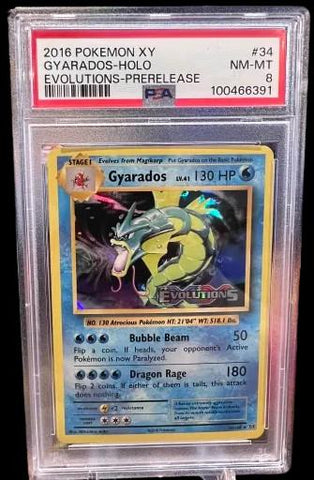 2016 Pokemon Xy Evolutions #34 Gyarados-Holo Evolutions-Prerelease PSA 8