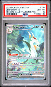 Serperior Ex #164 2025 Pokemon Blk En-Black Bolt PSA 10 SIR