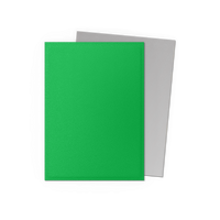 Dragon Shield: Standard 100ct Sleeves - Apple Green & Silver (Dual Matte)